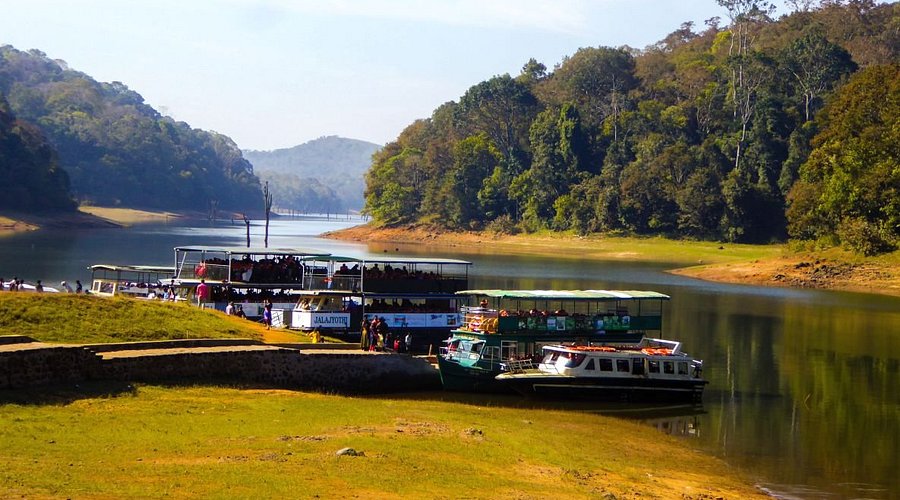 Periyar National Park: Explore Kerala’s Wildlife Paradise